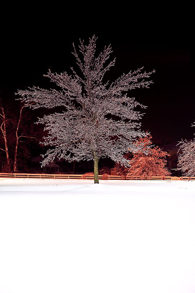 Ice Storm