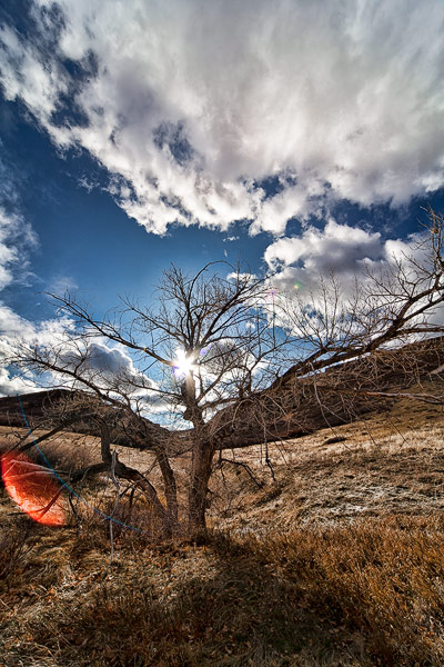 Roxborough State Park, Littleton, CO