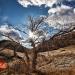 Roxborough State Park, Littleton, CO